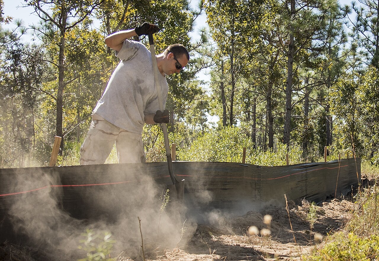 Crew backfilling the base of a silt fence among Florida longleaf pines